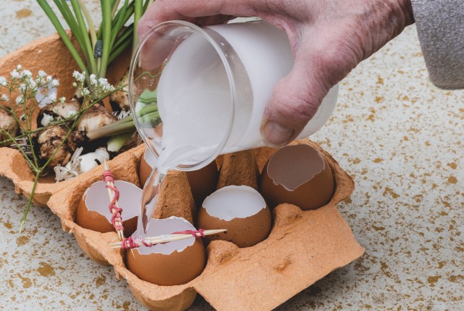 SPAR Mahlzeit Osternest DIY