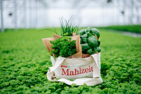 verschieden Kräuter in einem SPAR Mahlzeit! Sackerl 