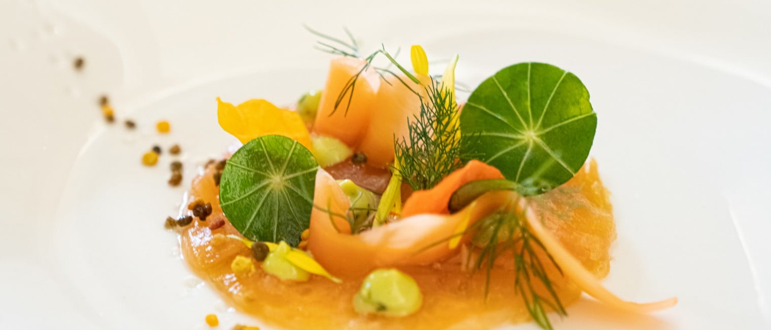 Lachs gebeizt und gebacken