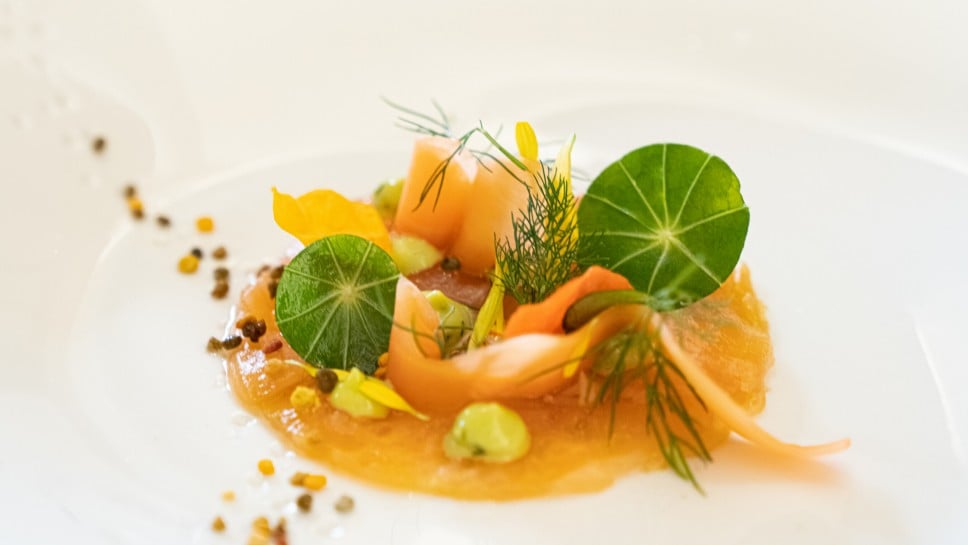 Lachs gebeizt und gebacken