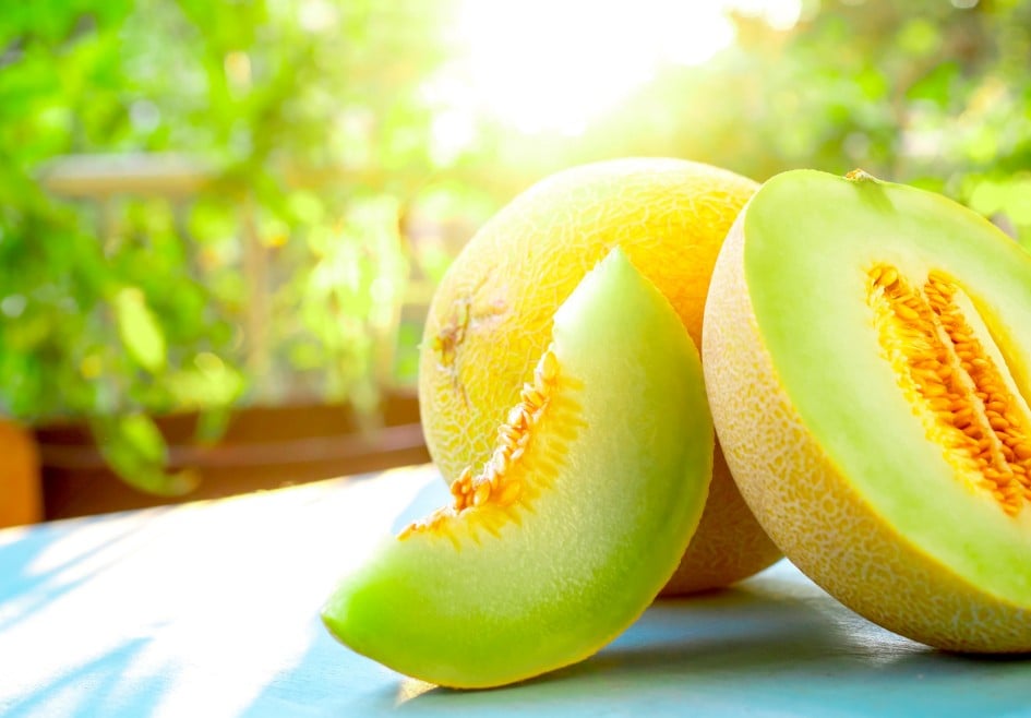 SPAR Galiamelone