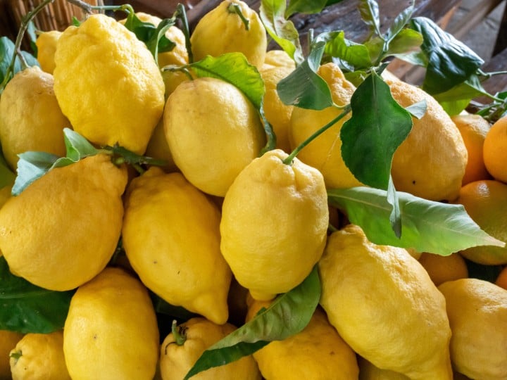 Close up of lemons in the busket.
