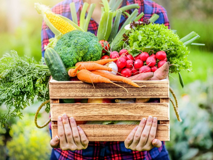 eine Frau, die eine Holzkiste in beiden Händen hält, die gefüllt ist mit frischem Obst und Gemüse