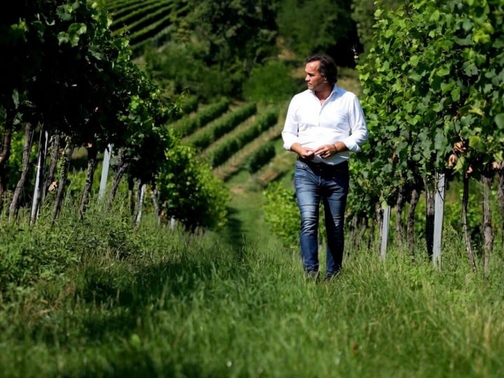 Ein Mann mit Jeand uns weißem hemnd spatziert durch einen abfallenden Weinberg
