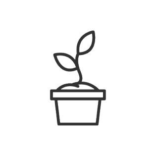 Pflanze in einem Topf-Icon