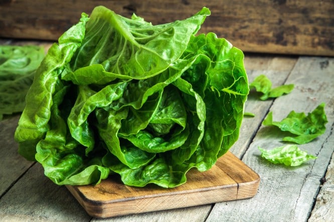 ripe organic green salad Romano on a cutting board; Shutterstock ID 249162988
