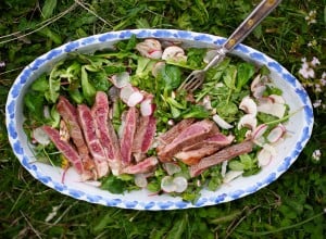 Wildkräutersalat mit Beiriedstreifen
