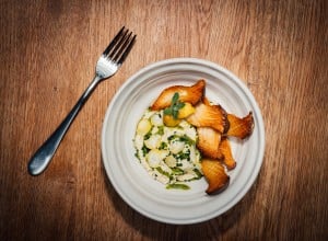 SPAR Mahlzeit Gebratene Kräuterseitlinge mit Maroni-Erdäpfel Espuma