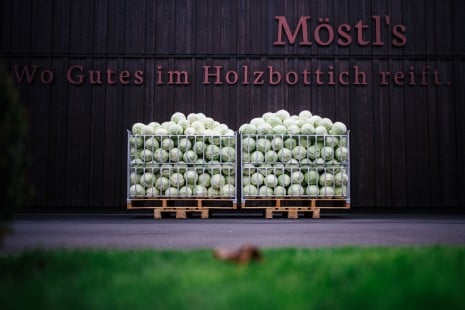 Krautköpfe vor der Produktionshalle