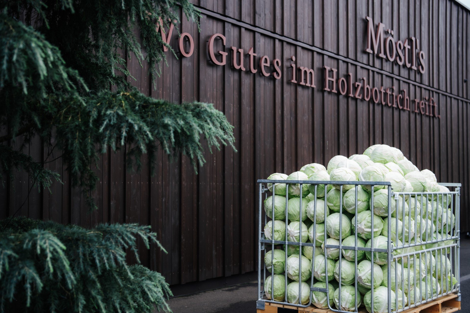 SPAR Mahlzeit GMG SPAR Sauerkraut Krautköpfe vor der Produktionshalle