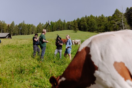 SPAR Mahlzeit! GmG-Almmilch