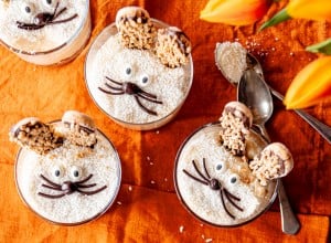 Kokos-Schichtdessert