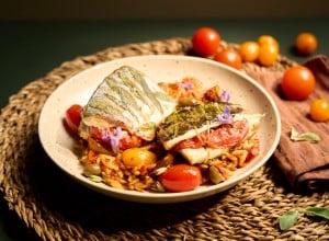 Bio Saibling mit Tomaten-Orzo