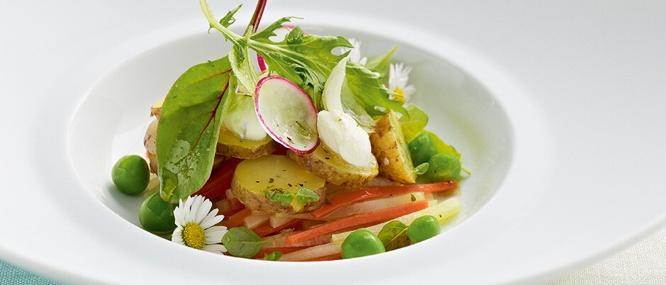 Kräutersalat mit Heurigen Kartoffeln und Gemüse