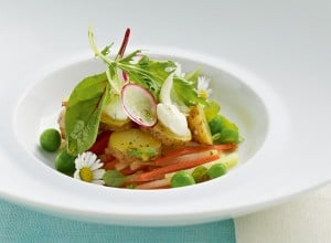 Kräutersalat mit Heurigen Kartoffeln und Gemüse