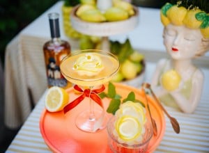 Nonino Spritz mit Zitronen-Eiswürfelkranz 