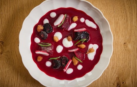 Rote-Rüben-Suppe
