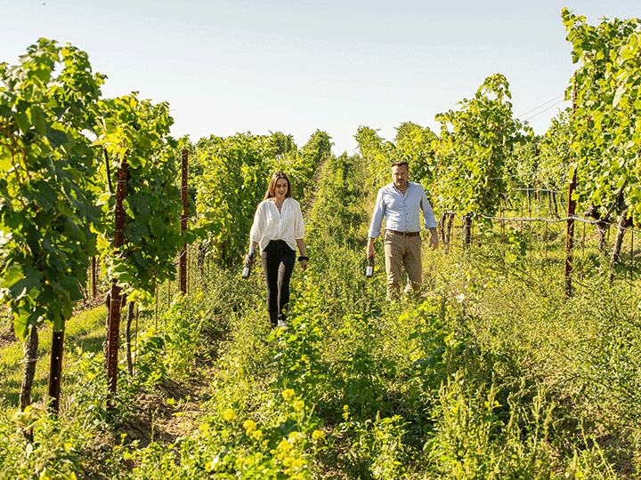 Benita Sophie geht zwischen den Weinreben