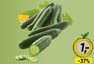 frische SPAR gurken