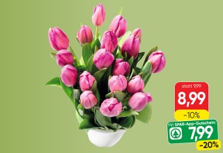 Tulpen