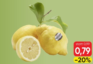 Zitronen-Banner-PREMIUM