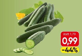SNP Bio-Gurke; statt 1,99 Euro um 0,99 Euro