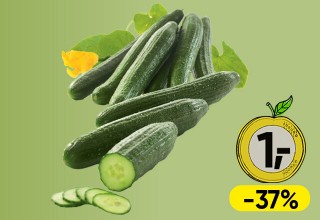 Vitamineuro; S P A R Gurke