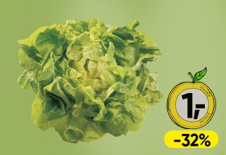 Vitamineuro; Kopfsalat aus Österreich