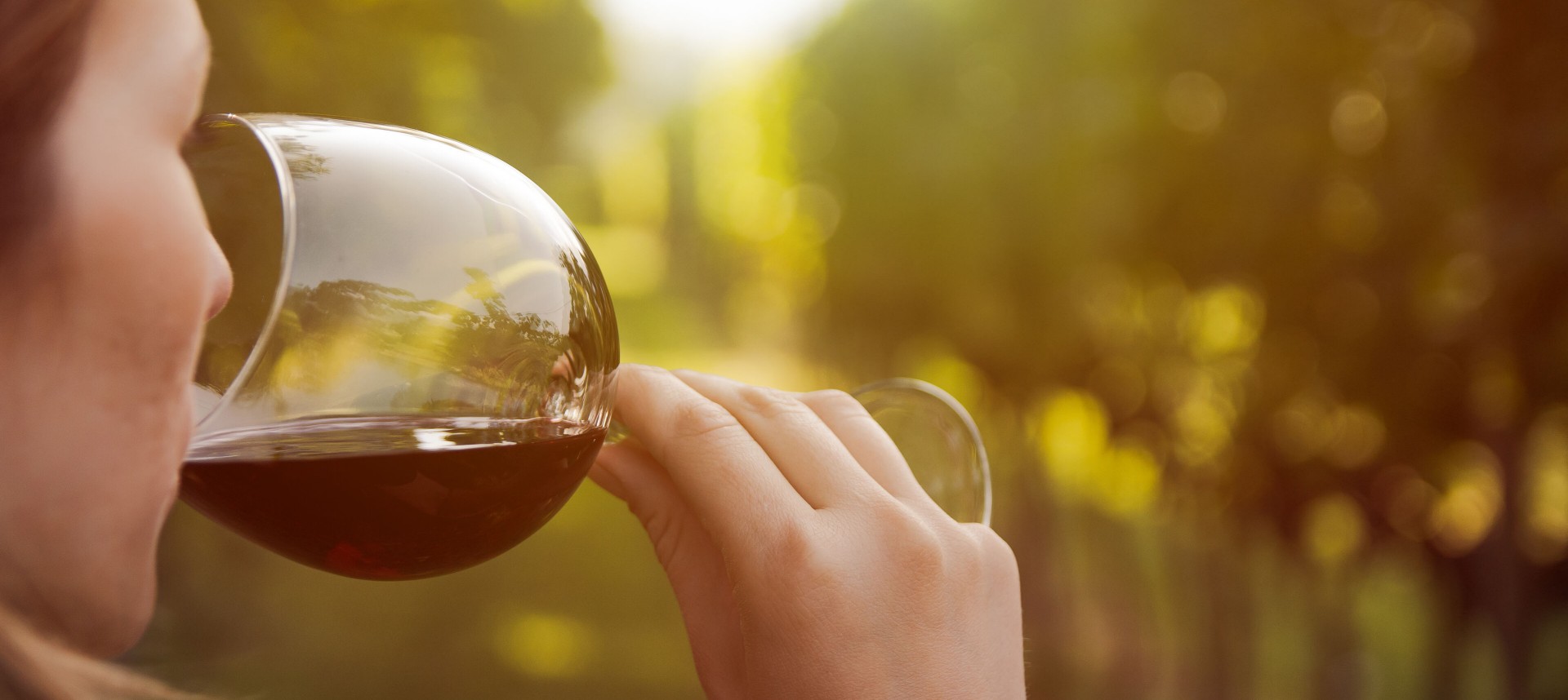girl holding a wine glass surrounded by grapevines