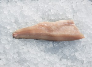 Oberwasser Fischerei_ Bachsaibling 