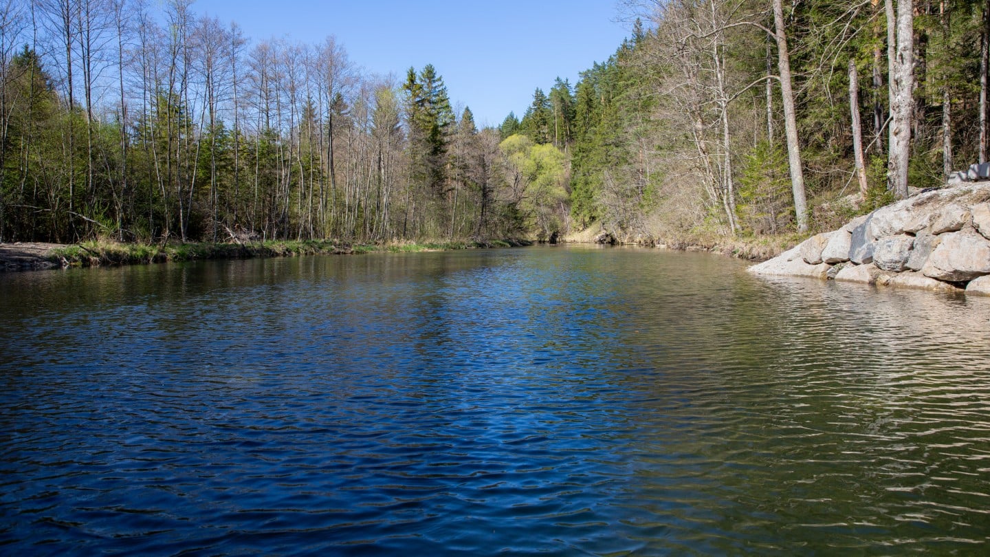 SPAR PREMIUM_Oberwasser Fischerei_Schleuse