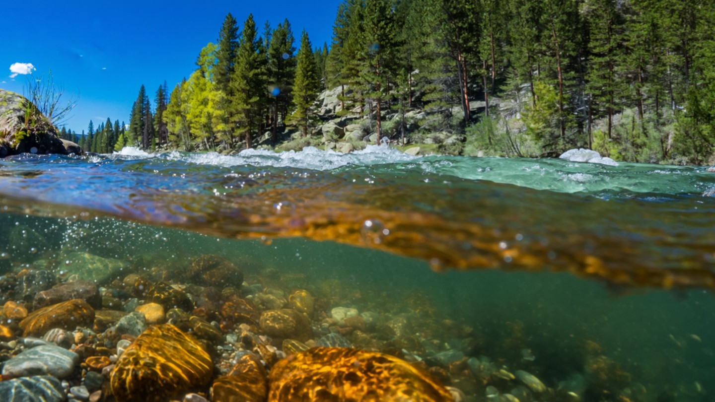 Man sieht einen idylischen Bergbach. Die Persepektive ist halb im Wasser halb draußen. Der Himmel ist blau