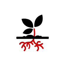 Pflanze Icon