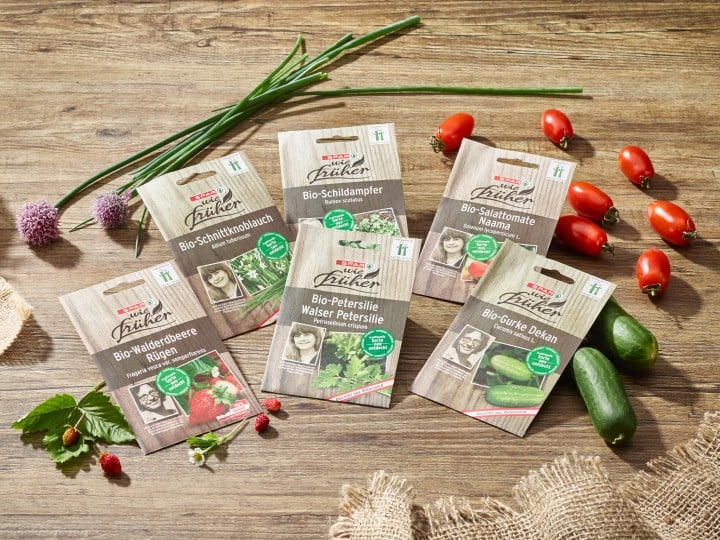 sechs Tütchen Bio-Saatgut auf einem Holztisch, umgeben von frischem Gemüse, Kräutern und Jutesäcken