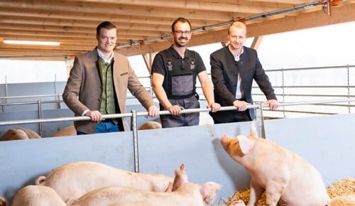 Vulkanland Duroc Stall