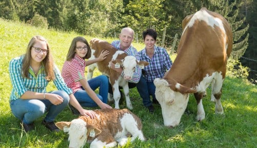 Salzburger Jungrind Familie Nadegger