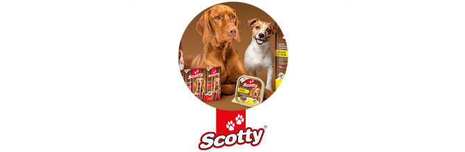 Scotty Banner