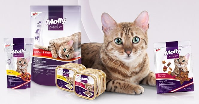 Molly premium Molly premium