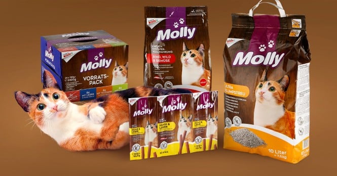 Molly Molly