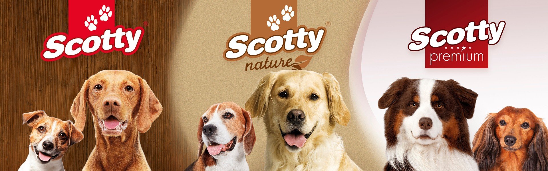 Scotty Header Scotty Header