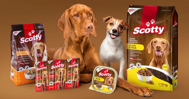 Scotty Scotty