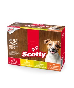 Scotty Multipack für kleine Hunde