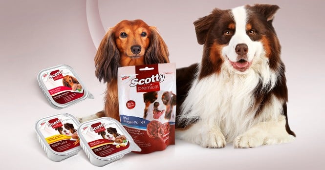 Scotty