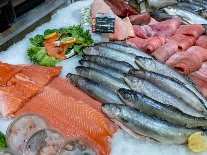 Fische auf Eis