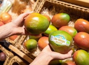 Mangos