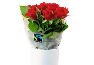 FAIRTRADE Rosen