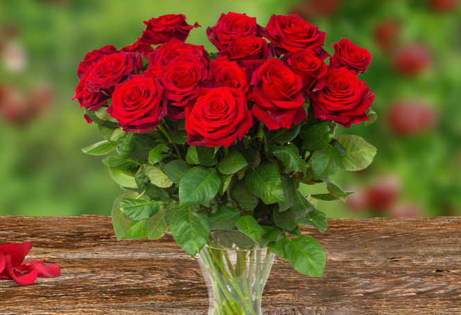 Rosen Fairtrade Rosen Fairtrade