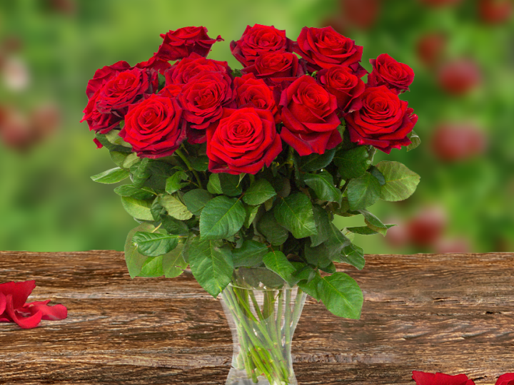 Rosen Fairtrade
