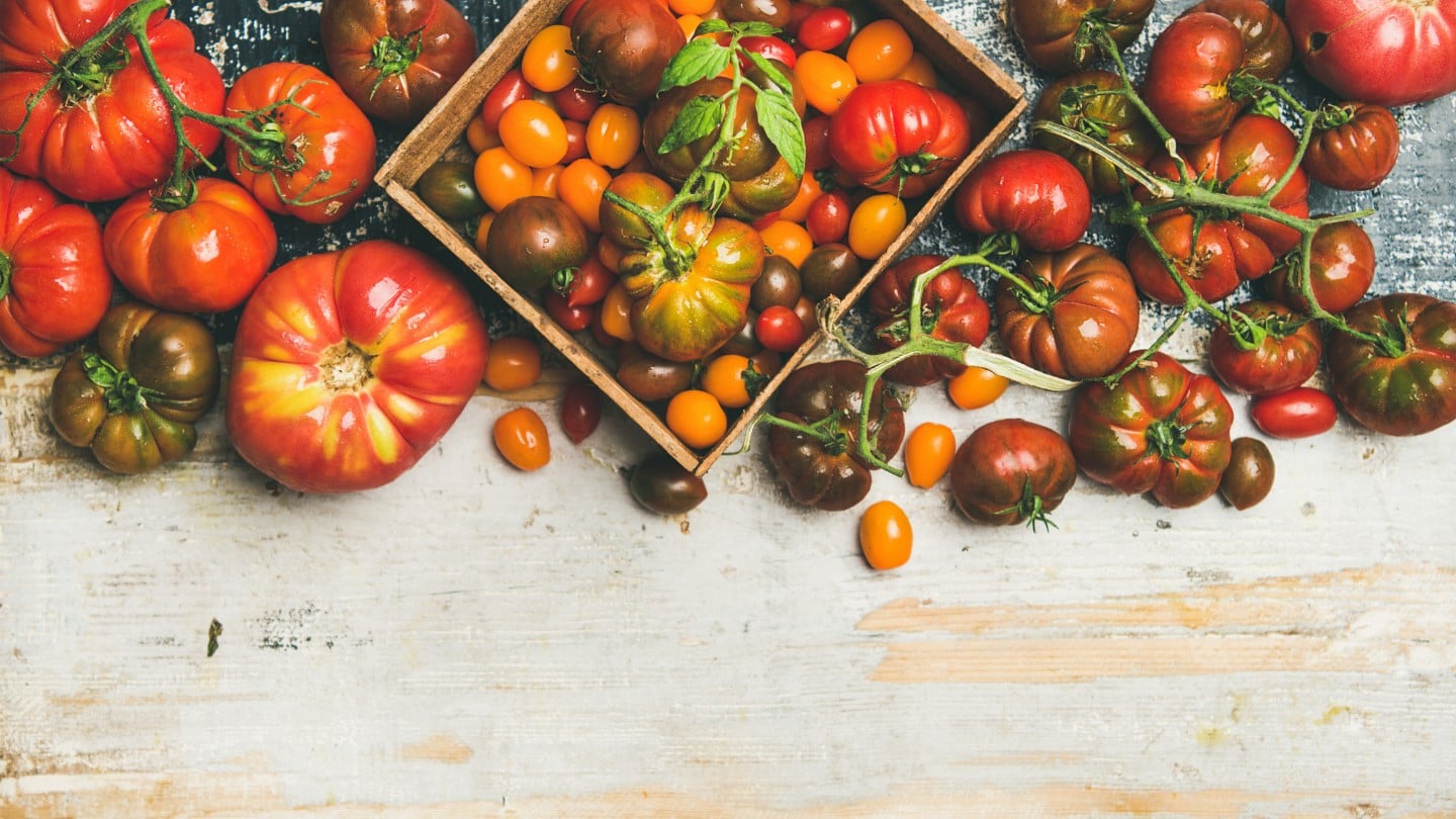 Tomaten Vielfalt
