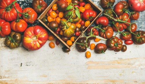 Tomaten Vielfalt